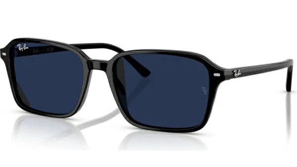 RAY-BAN RB2231F RAIMOND -RAY-BAN Sunglasses- Optivision
