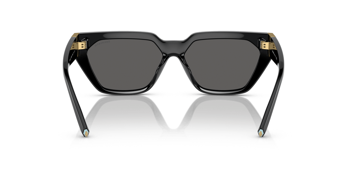TIFFANY TF4205U -TIFFANY Sunglasses- Optivision