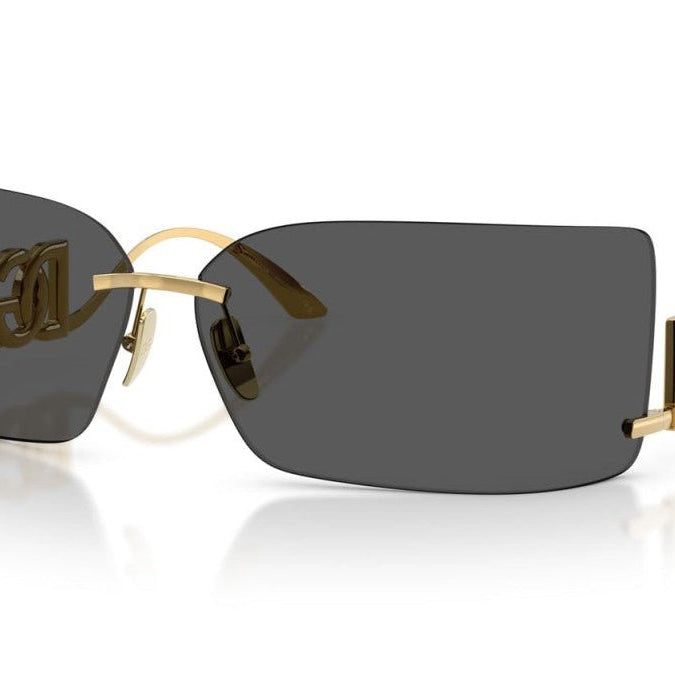 DOLCE & GABBANA DG2319 Statement -DOLCE & GABBANA Sunglasses- Optivision