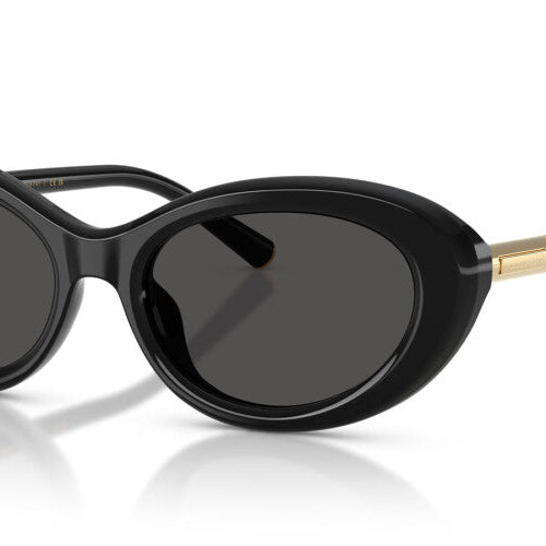 DOLCE & GABBANA DG4519