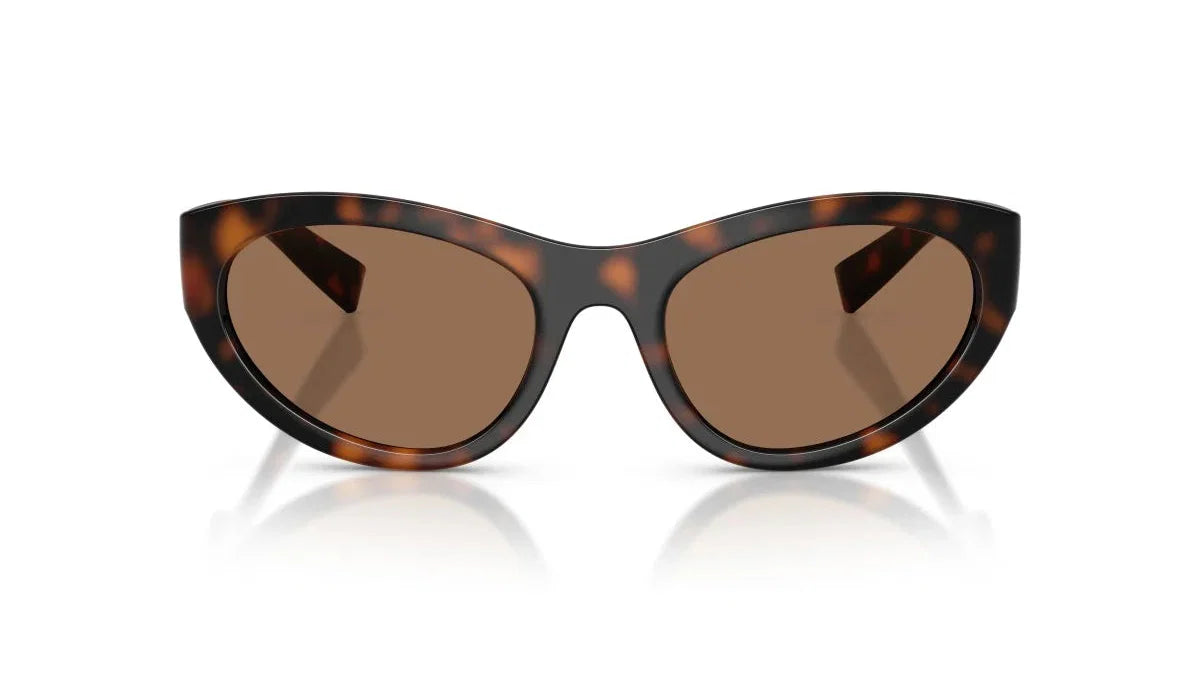 DOLCE & GABBANA DG6207 -DOLCE & GABBANA Sunglasses- Optivision