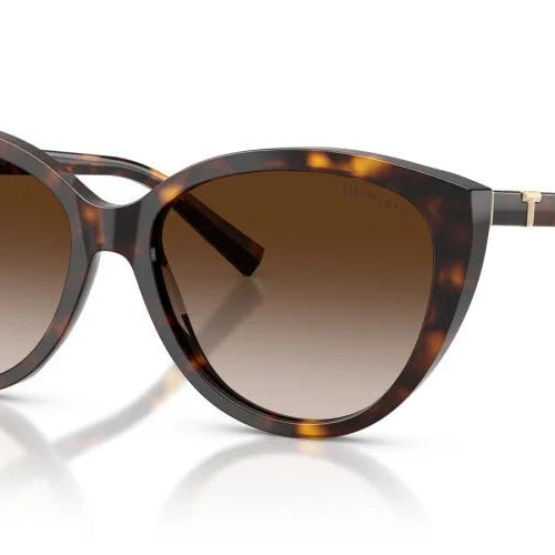 TIFFANY TF4251 -TIFFANY Sunglasses- Optivision