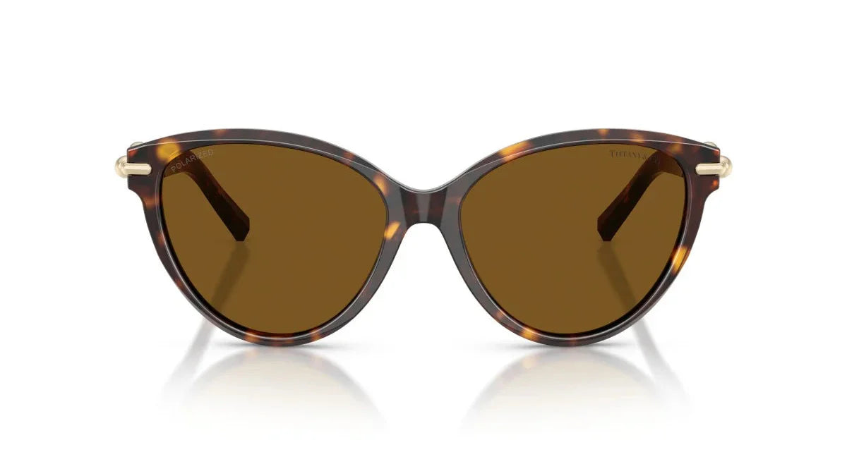 TIFFANY TF4261 -TIFFANY Sunglasses- Optivision