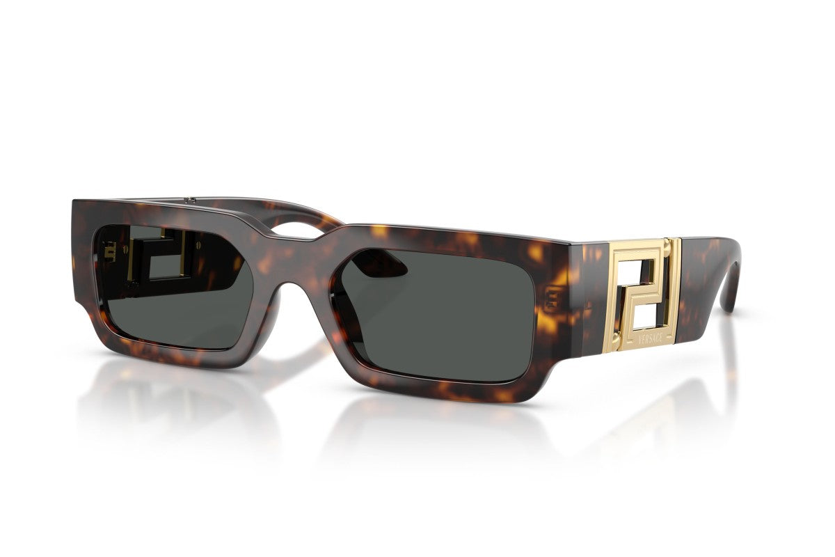 VERSACE VE4506U Medusa -VERSACE Sunglasses- Optivision