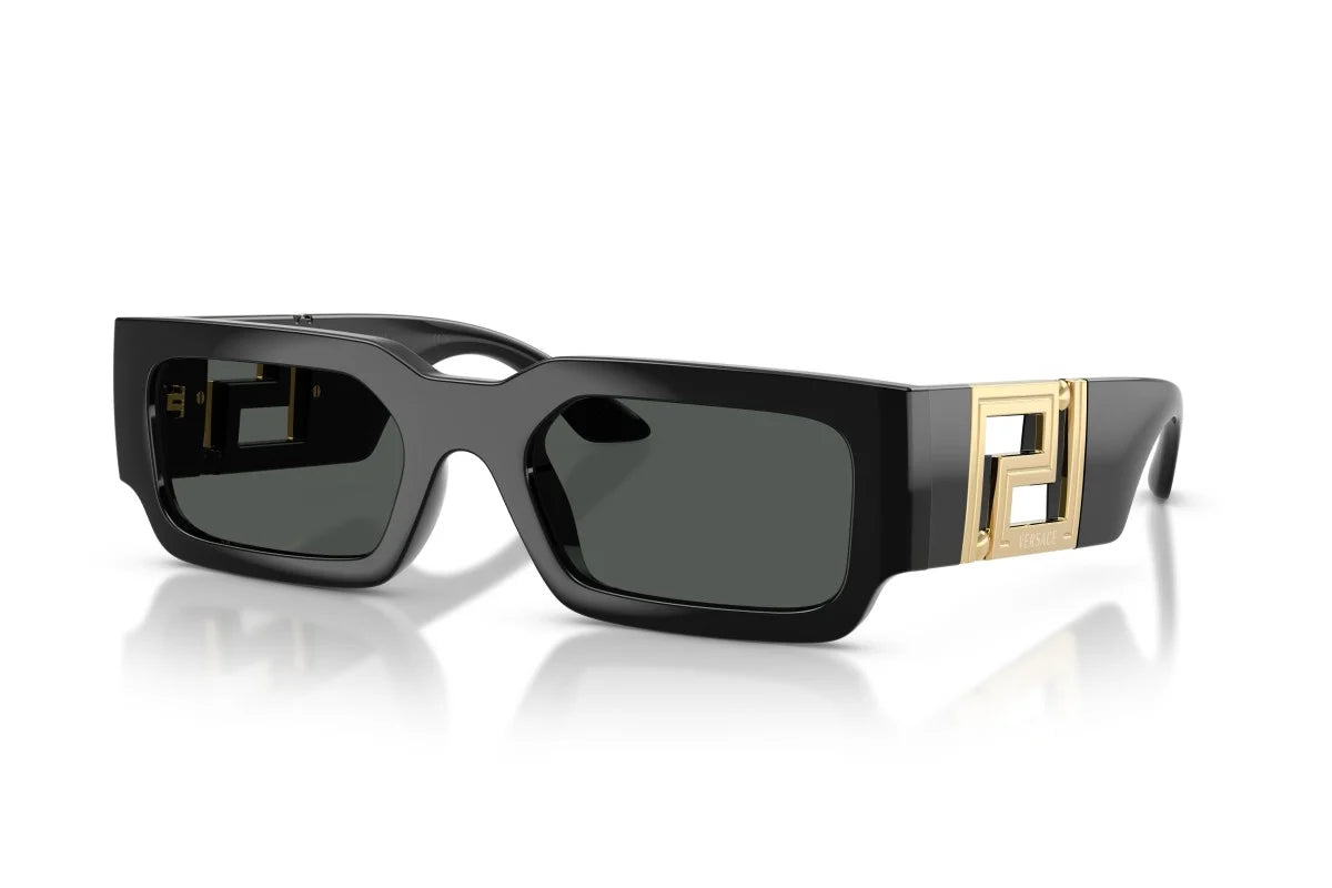 VERSACE VE4506U Medusa -VERSACE Sunglasses- Optivision