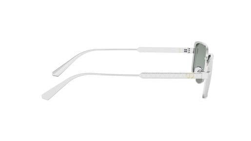 DIOR DIORCANNAGE S2U -DIOR Sunglasses- Optivision