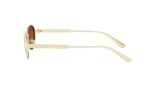 DIOR DIORCANNAGE R1U -DIOR Sunglasses- Optivision