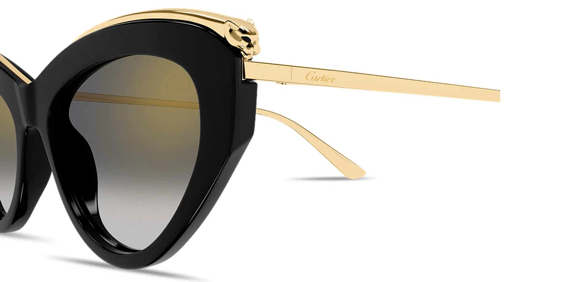 CARTIER CT0596S -CARTIER Sunglasses- Optivision