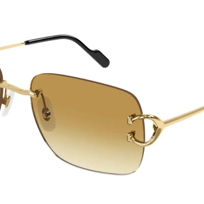 CARTIER CT0330S