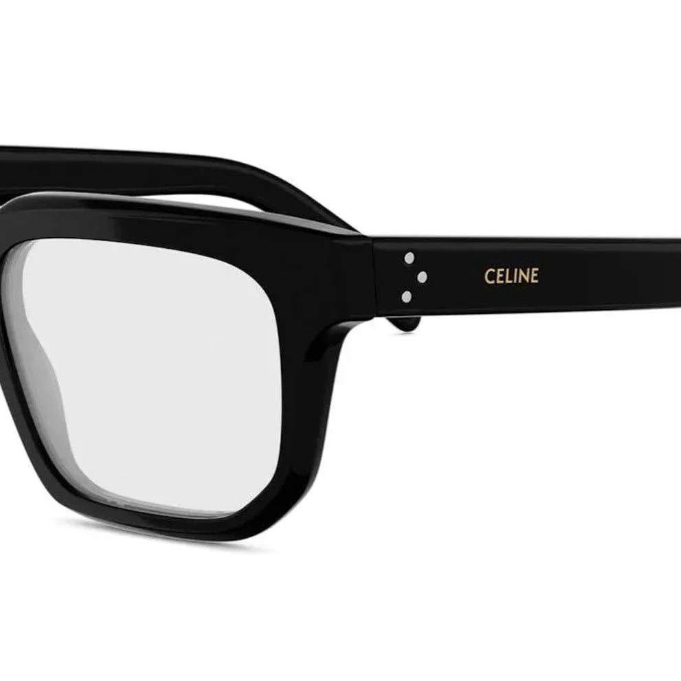 CELINE CL50176I