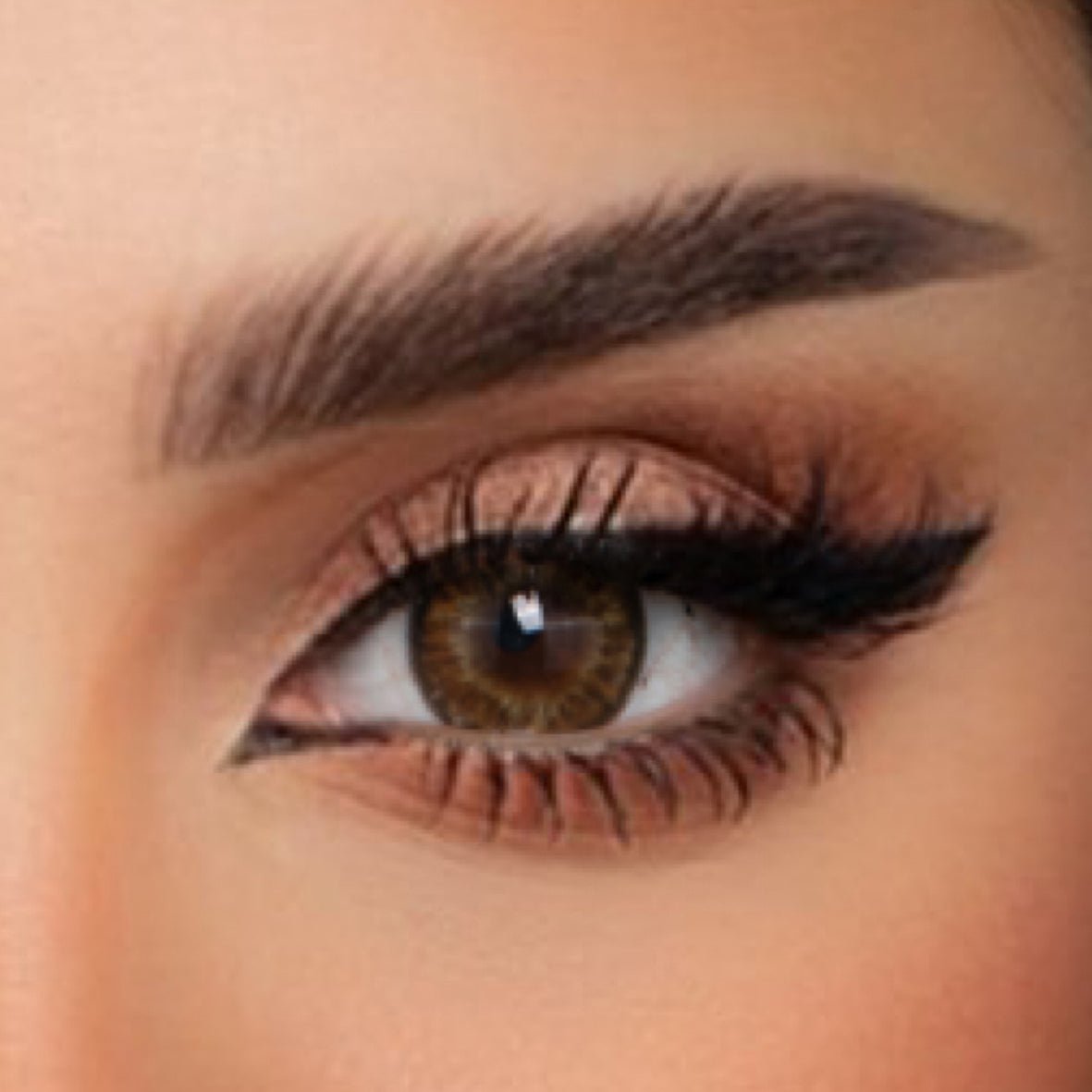 AMARA MONTHLY -AMARA CONTACT LENS- Optivision