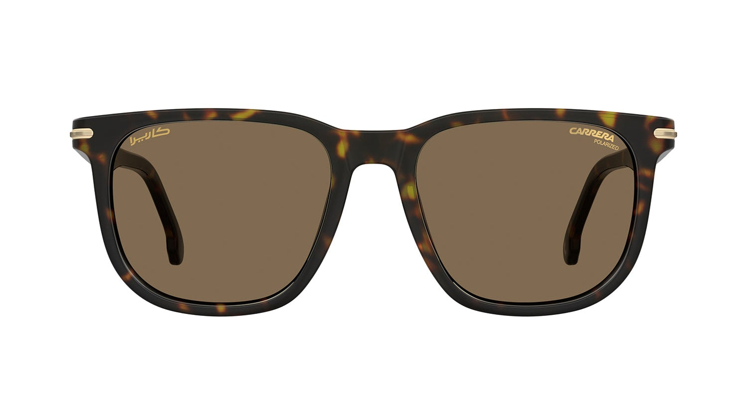 CARRERA 300/S/N Carrera -CARRERA Sunglasses- Optivision