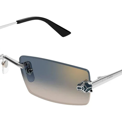CARTIER CT0598S