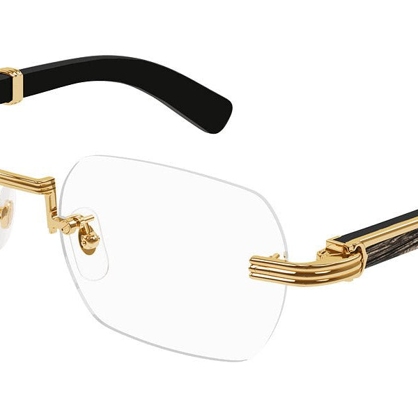 Cartier CT0377O Rectangle Eyeglasses -CARTIER Eyeglasses- Optivision