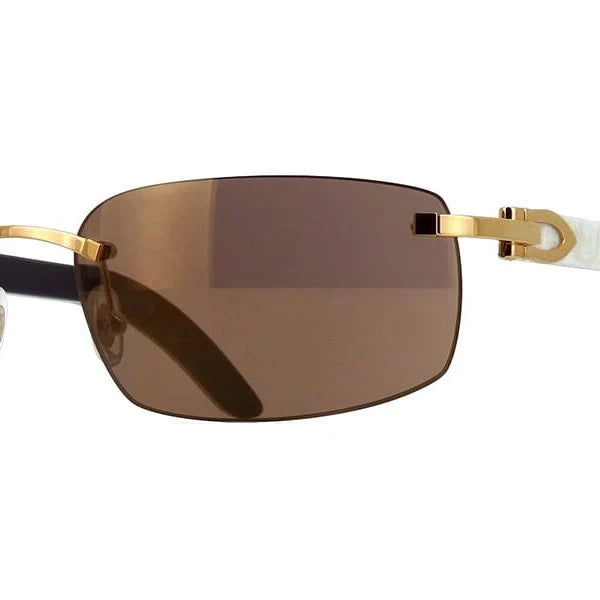 نظارات كارتييه CT0046S الشمسية بإطار مستطيل