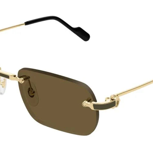 Cartier CT0271S Rectangle Sunglasses