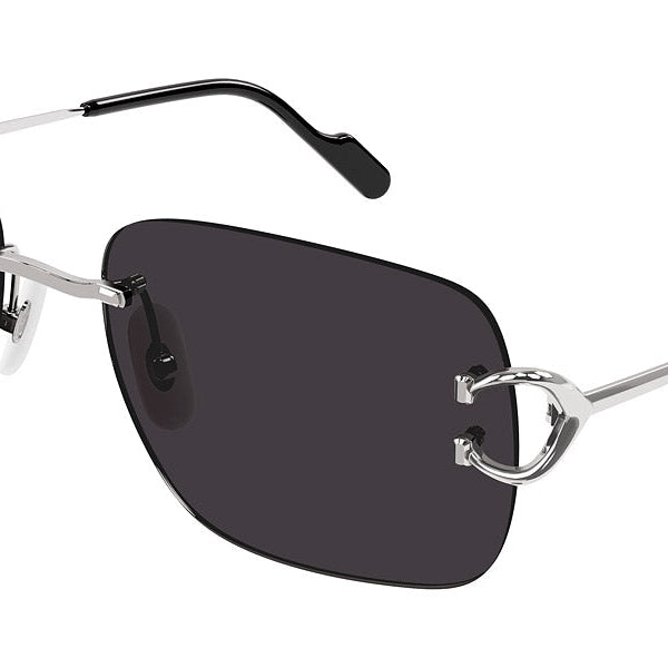 CARTIER CT0330S