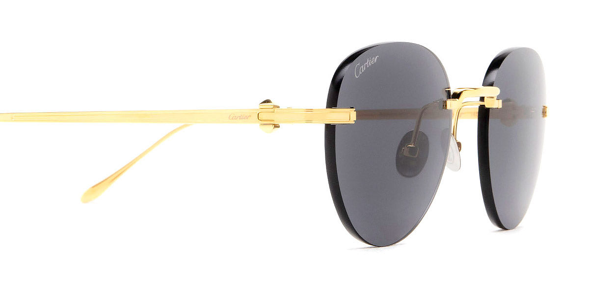 CARTIER CT0331S Pasha de Cartier -CARTIER Sunglasses- Optivision
