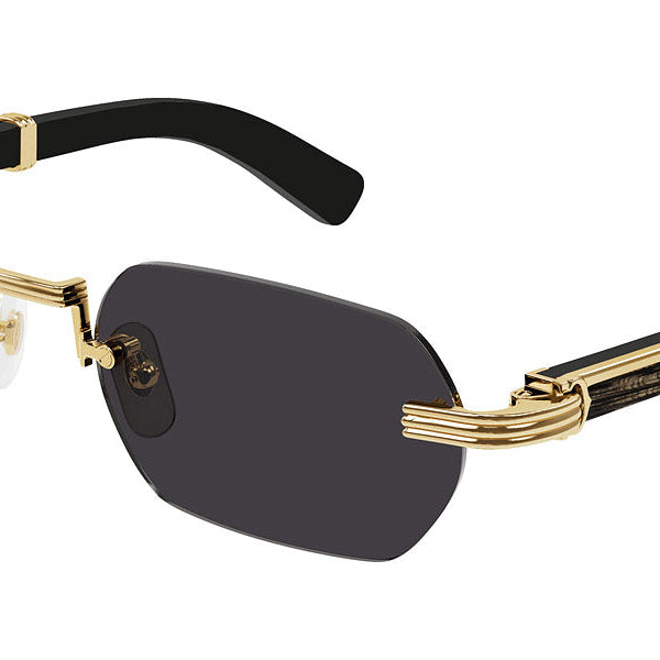 Cartier CT0362S Rectangle Sunglasses