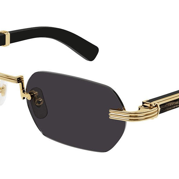 Cartier CT0362S Rectangle Sunglasses -CARTIER Sunglasses- Optivision