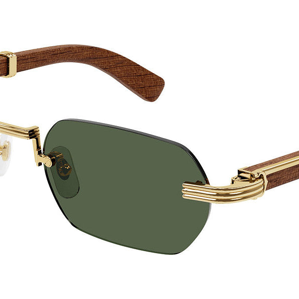 Cartier CT0362S Rectangle Sunglasses