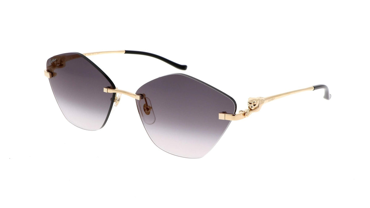 Cartier CT0429S Irregular Sunglasses -CARTIER Sunglasses- Optivision