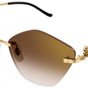 Cartier CT0429S Irregular Sunglasses -CARTIER Sunglasses- Optivision
