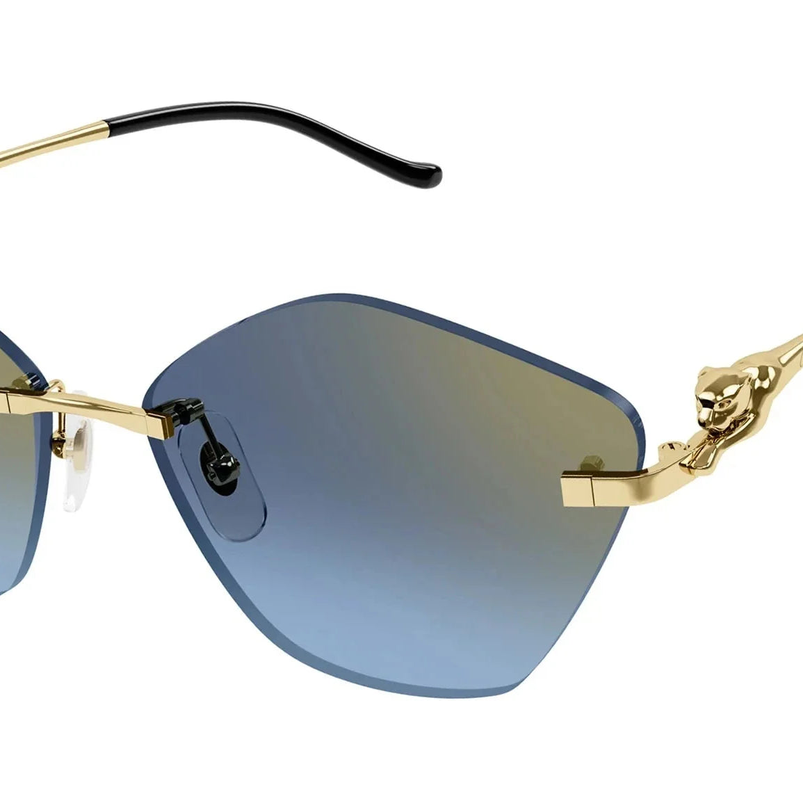 CARTIER CT0429S