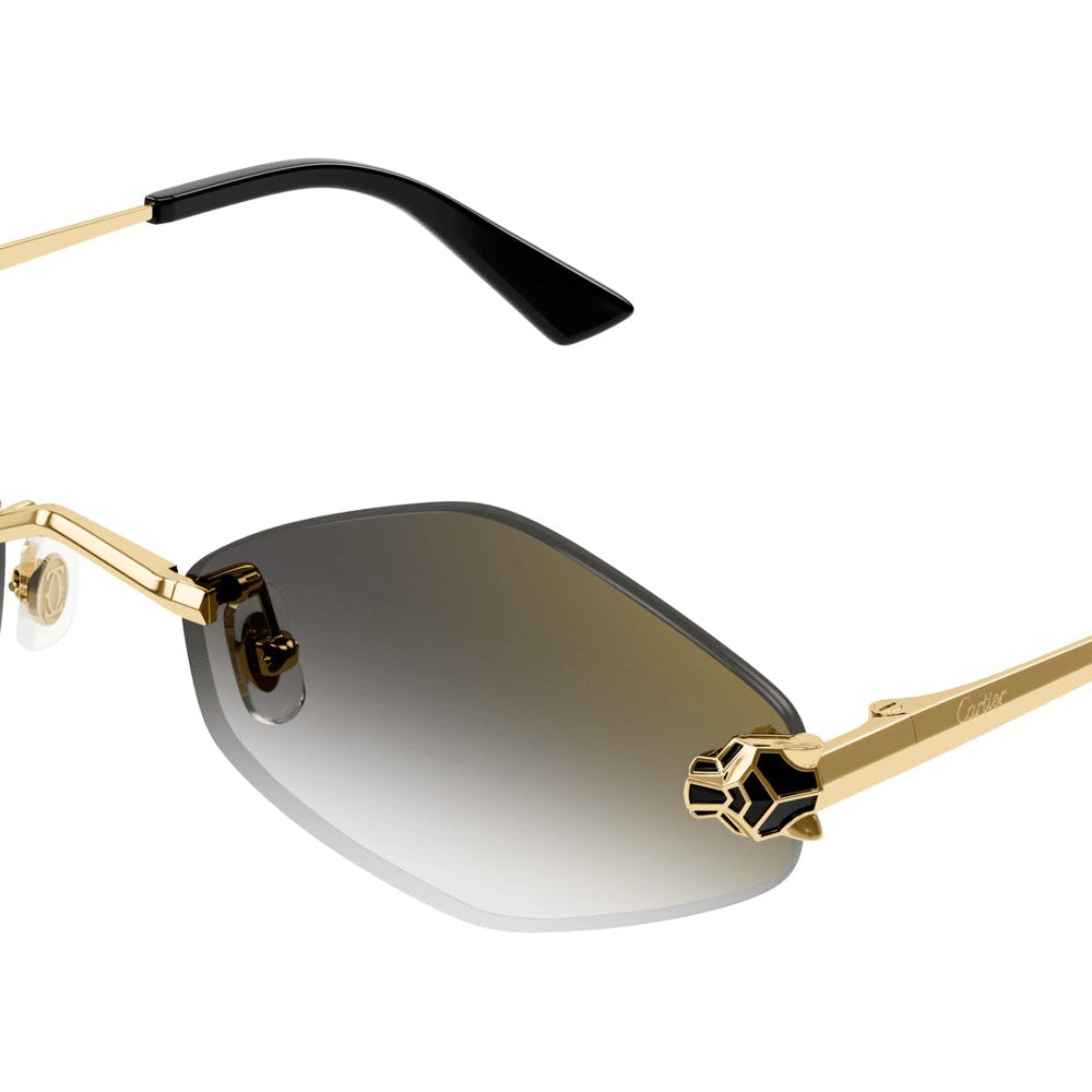 Cartier CT0433S Sunglasses