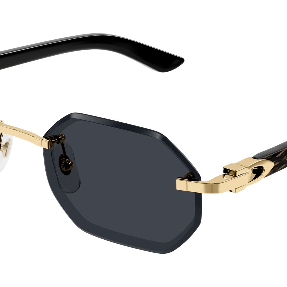CARTIER CT0439S