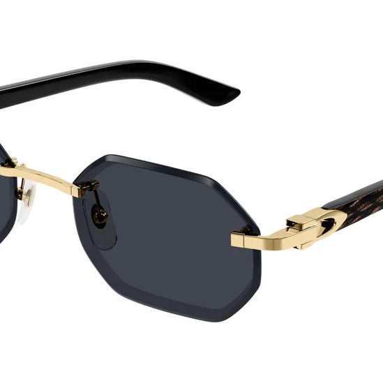 Cartier CT0439S Sunglasses