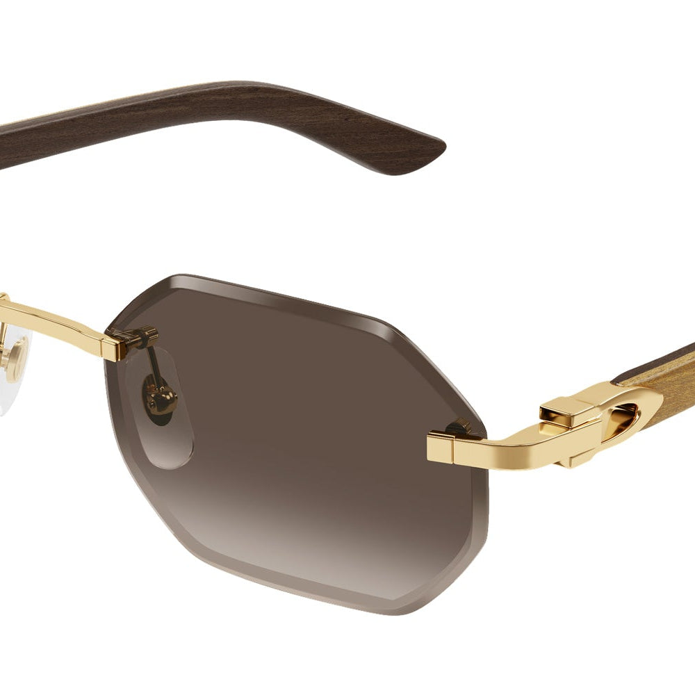 CARTIER CT0439S
