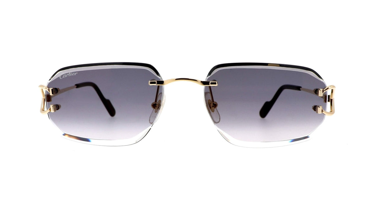 CARTIER CT0468S C Decor -CARTIER Sunglasses- Optivision