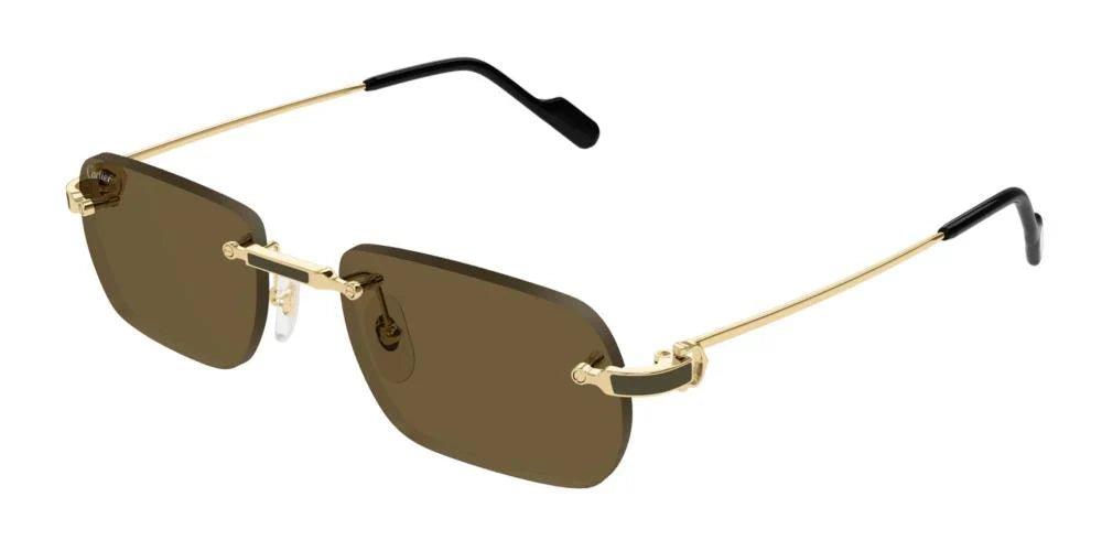 CARTIER CT0498S -CARTIER Sunglasses- Optivision