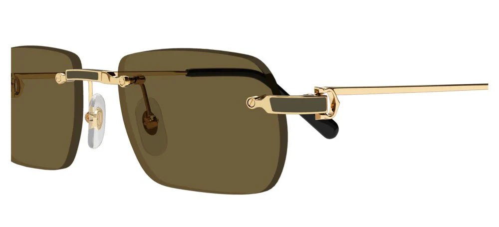 CARTIER CT0498S -CARTIER Sunglasses- Optivision