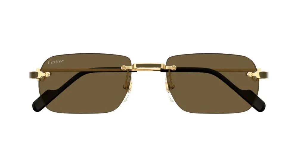 CARTIER CT0498S -CARTIER Sunglasses- Optivision