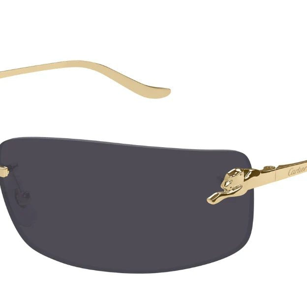 CARTIER CT0503S -CARTIER Sunglasses- Optivision