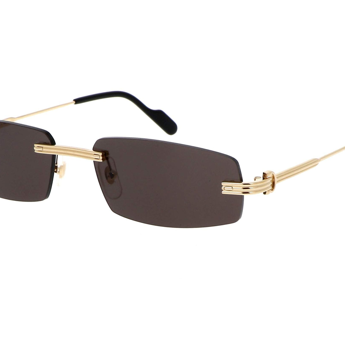 Cartier CT0535S Rectangle Sunglasses