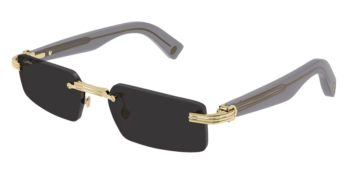 Cartier CT0537S Première de Cartier Rectangle Sunglasses -CARTIER Sunglasses- Optivision