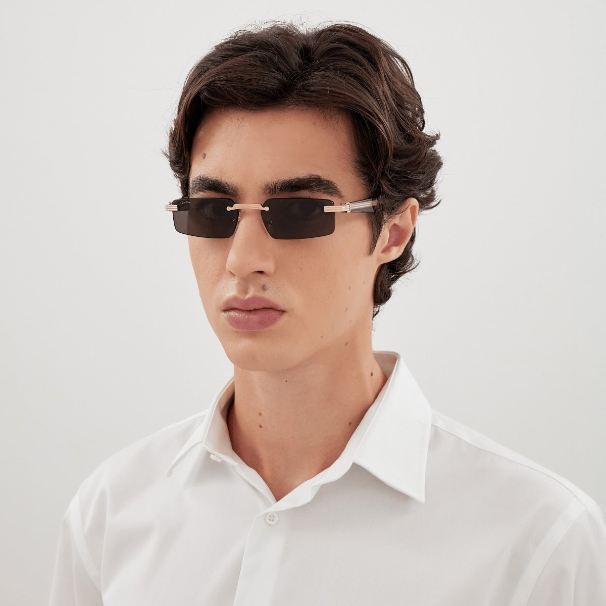 CARTIER CT0537S -CARTIER Sunglasses- Optivision