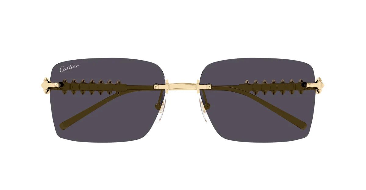 Cartier CT0545S Rectangle Sunglasses -CARTIER Sunglasses- Optivision
