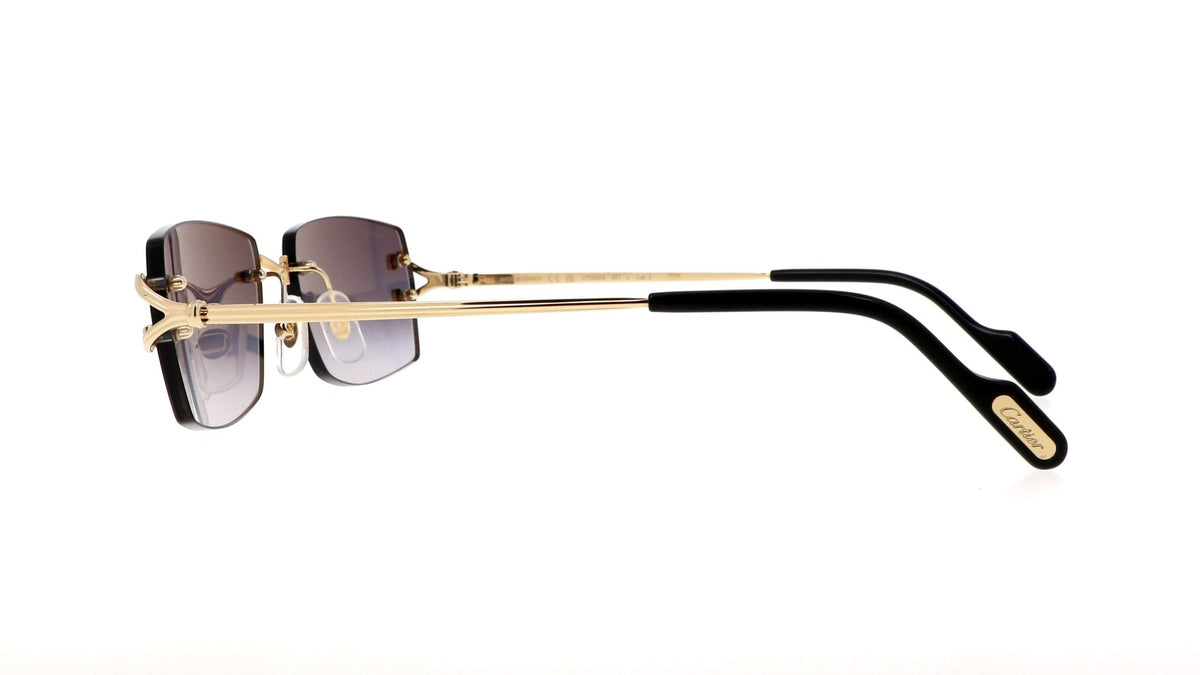 CARTIER CT0550S -CARTIER Sunglasses- Optivision