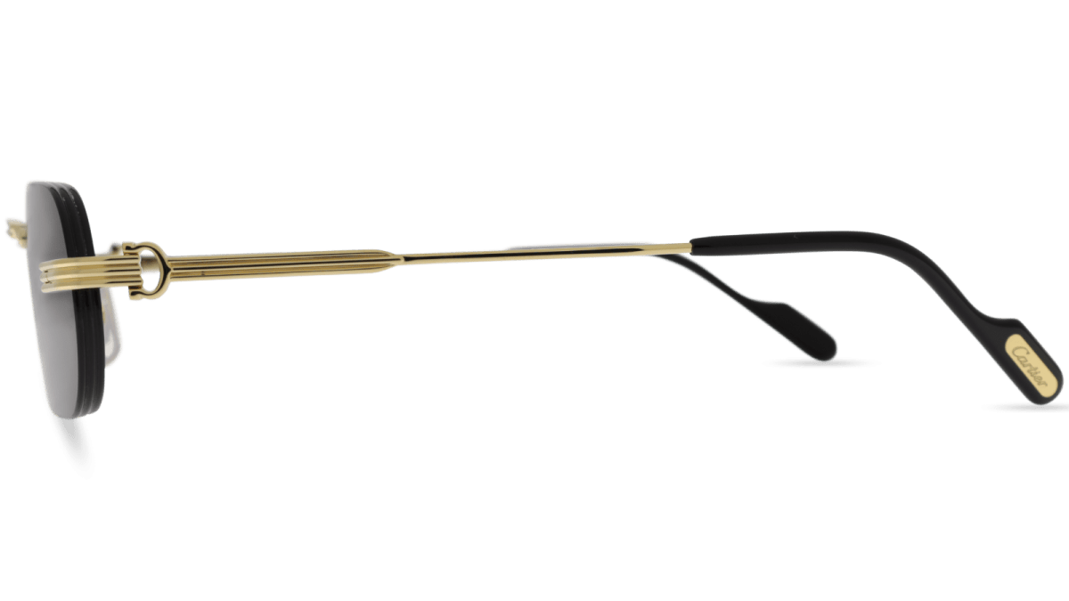 CARTIER CT0577S -CARTIER Sunglasses- Optivision