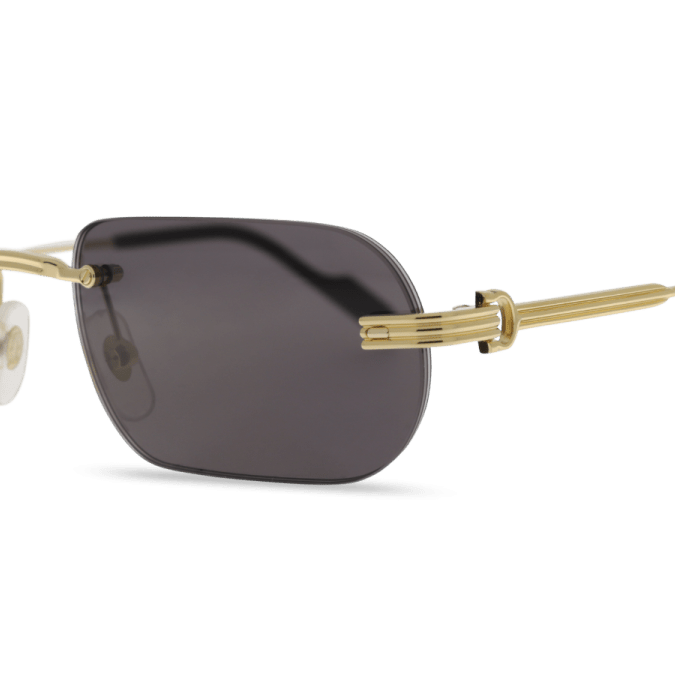 Cartier CT0577S Rectangle Sunglasses