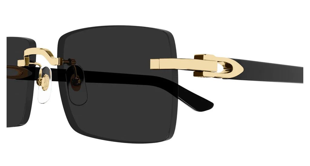 CARTIER CT0579S C Decor -CARTIER Sunglasses- Optivision