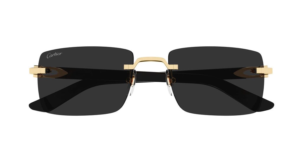 CARTIER CT0579S C Decor -CARTIER Sunglasses- Optivision