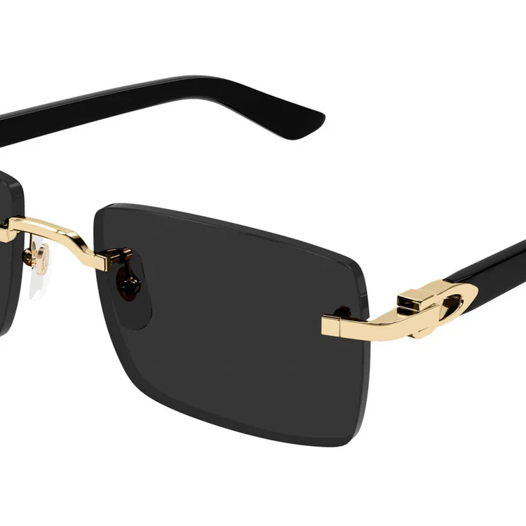CARTIER CT0579S
