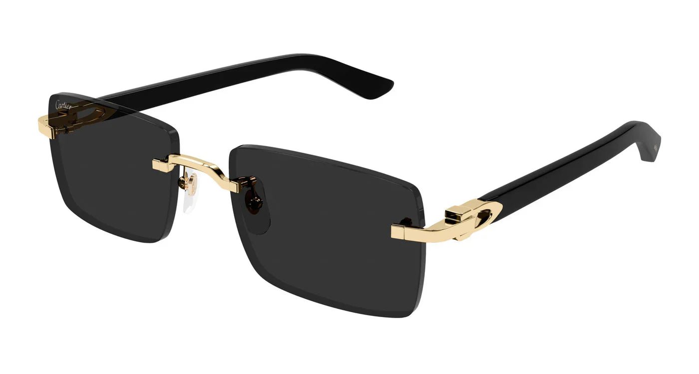 CARTIER CT0579S C Decor -CARTIER Sunglasses- Optivision