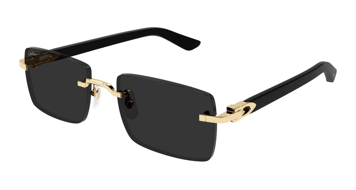 CARTIER CT0579S C Decor -CARTIER Sunglasses- Optivision