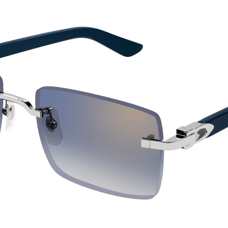 CARTIER CT0579S